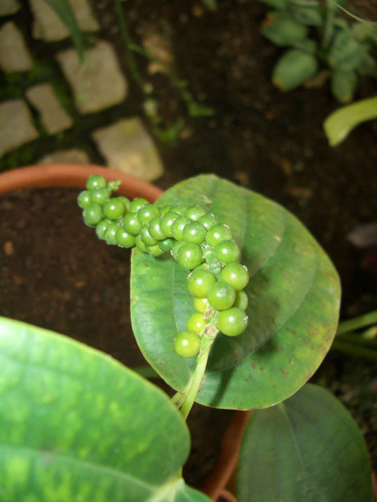 Produktbild 2